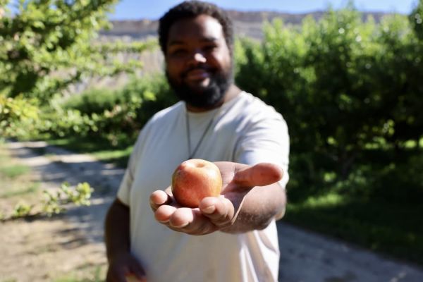 Image of a man grabbing an apple