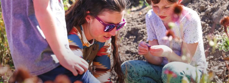 Education director Corina Person Minniti helps the children pick flowers for an art project on Thursday at the Farm Collaborative outside Aspen.
